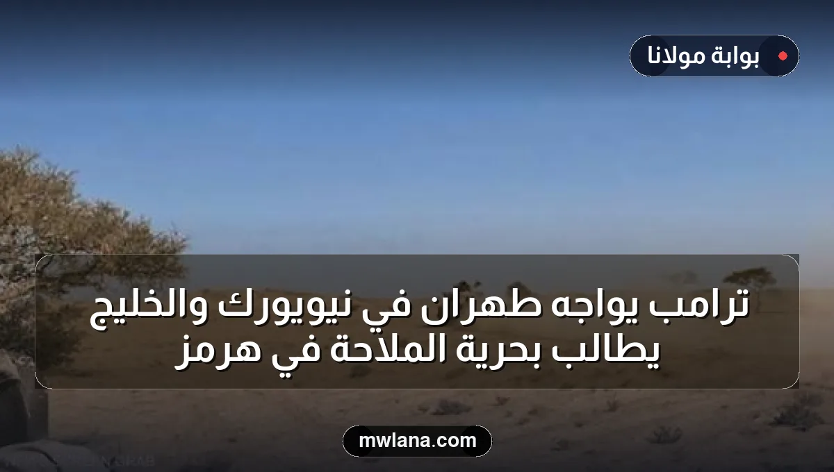 ترامب يواجه طهران في نيويورك والخليج يطالب بحرية الملاحة في هرمز