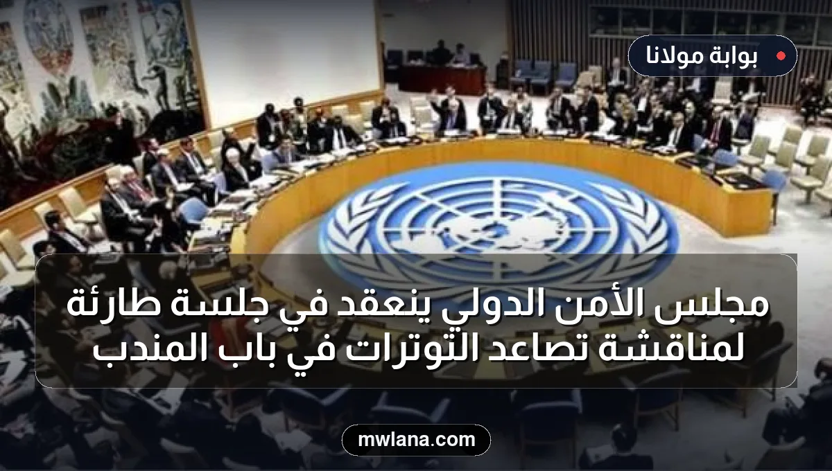 مجلس الأمن الدولي ينعقد في جلسة طارئة لمناقشة تصاعد التوترات في باب المندب