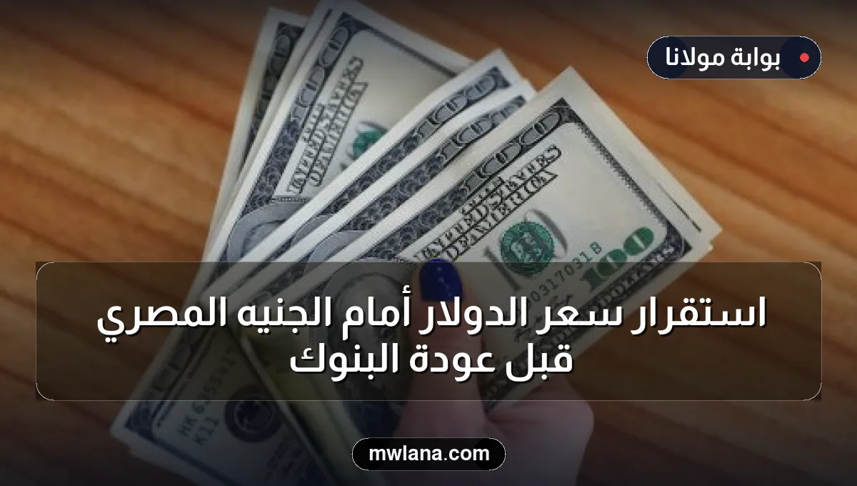 استقرار سعر الدولار أمام الجنيه المصري قبل عودة البنوك