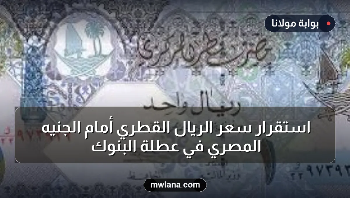 استقرار سعر الريال القطري أمام الجنيه المصري في عطلة البنوك