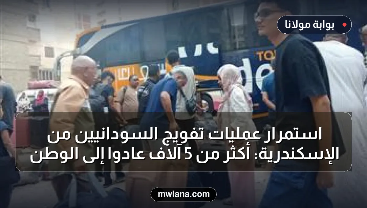 استمرار عمليات تفويج السودانيين من الإسكندرية: أكثر من 5 آلاف عادوا إلى الوطن