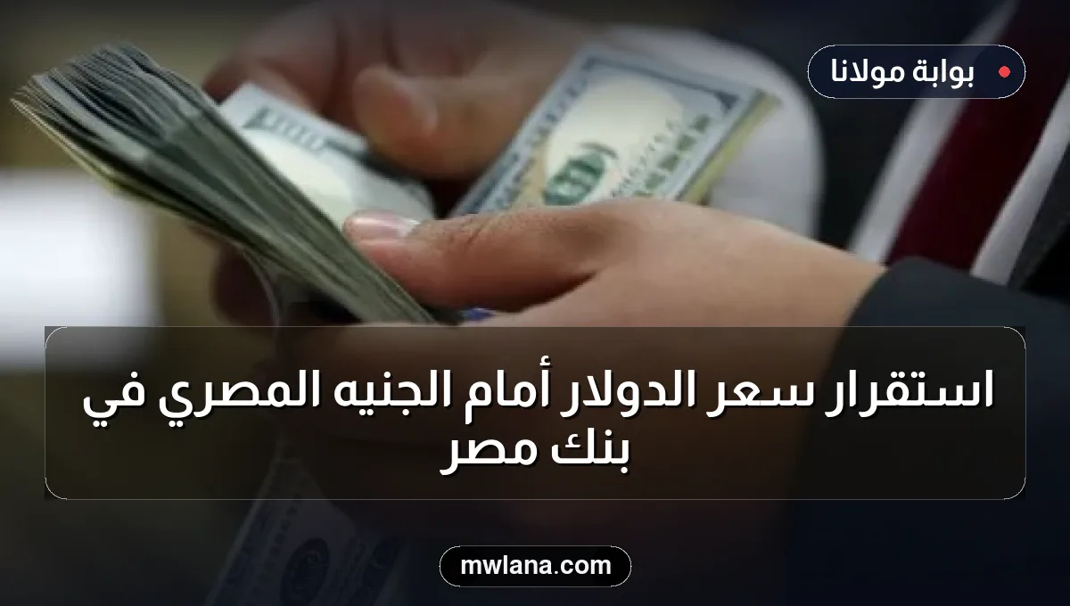 استقرار سعر الدولار أمام الجنيه المصري في بنك مصر