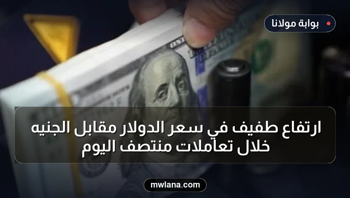 ارتفاع طفيف في سعر الدولار مقابل الجنيه خلال تعاملات منتصف اليوم