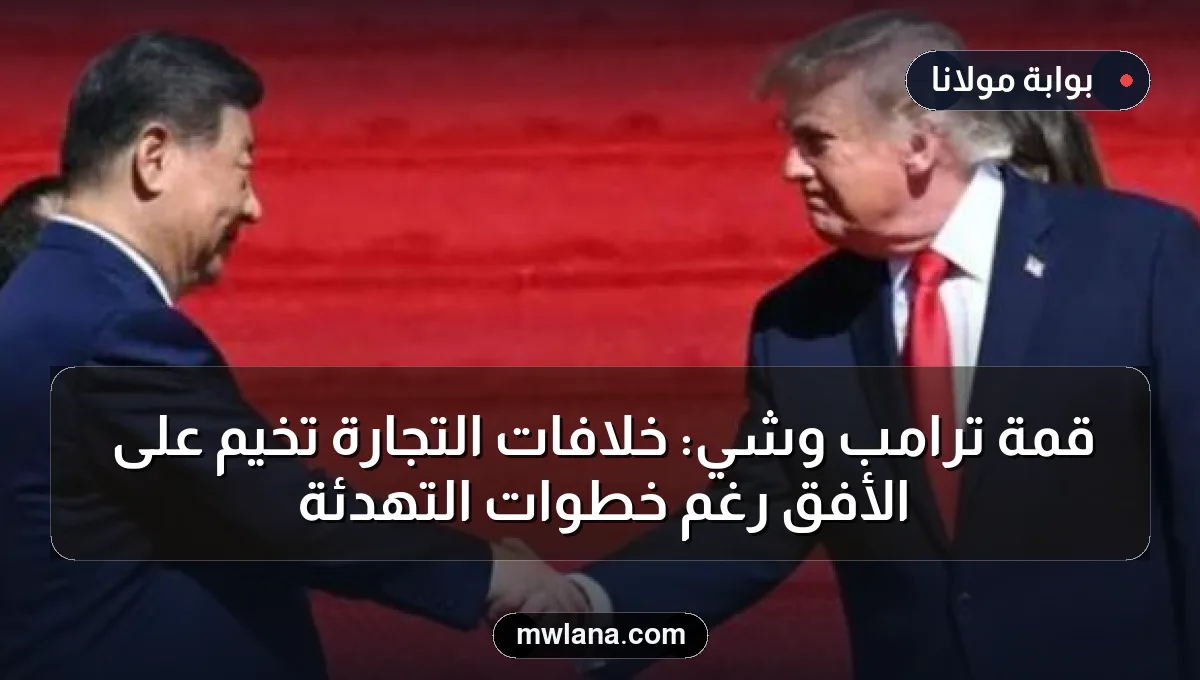 قمة ترامب وشي: خلافات التجارة تُخيم على الأفق رغم خطوات التهدئة