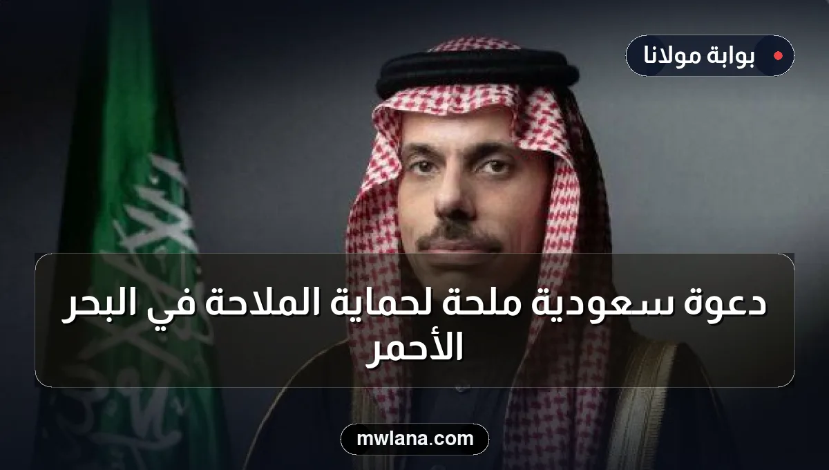 دعوة سعودية ملحة لحماية الملاحة في البحر الأحمر