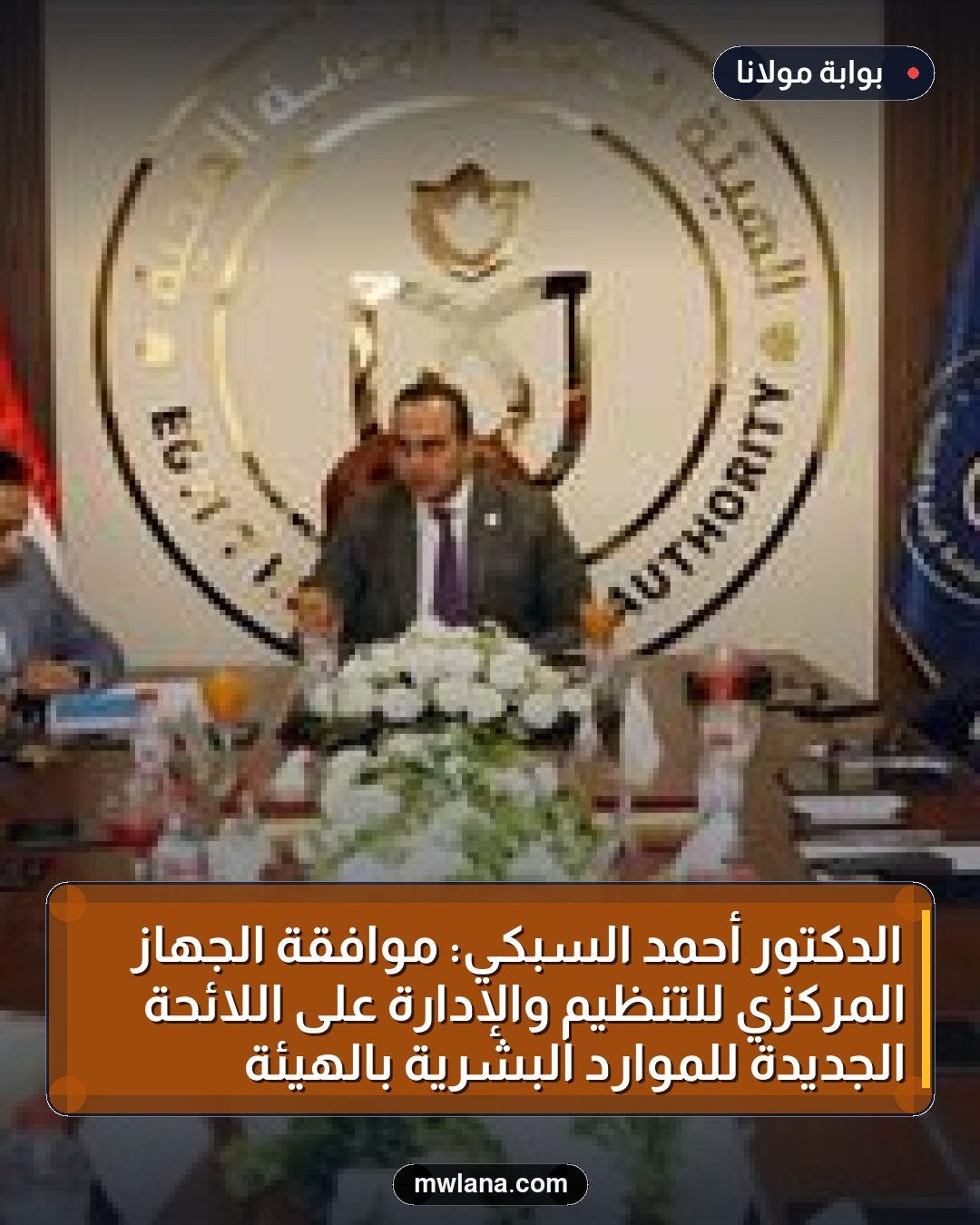 الدكتور أحمد السبكي: موافقة الجهاز المركزي للتنظيم والإدارة على اللائحة الجديدة للموارد البشرية بالهيئة