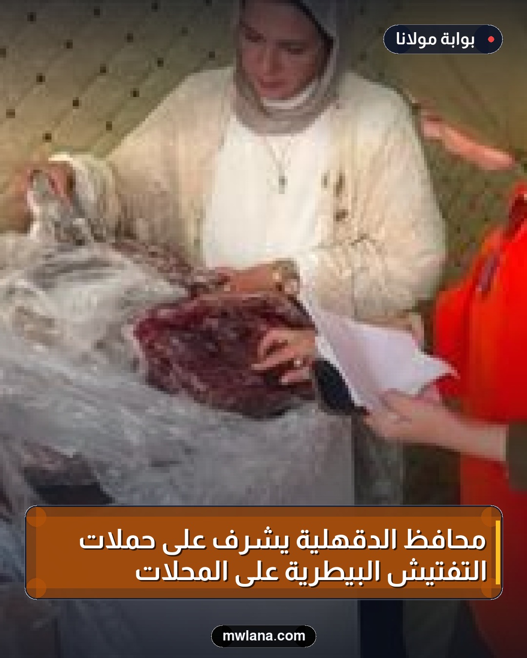 محافظ الدقهلية يشرف على حملات التفتيش البيطرية على المحلات