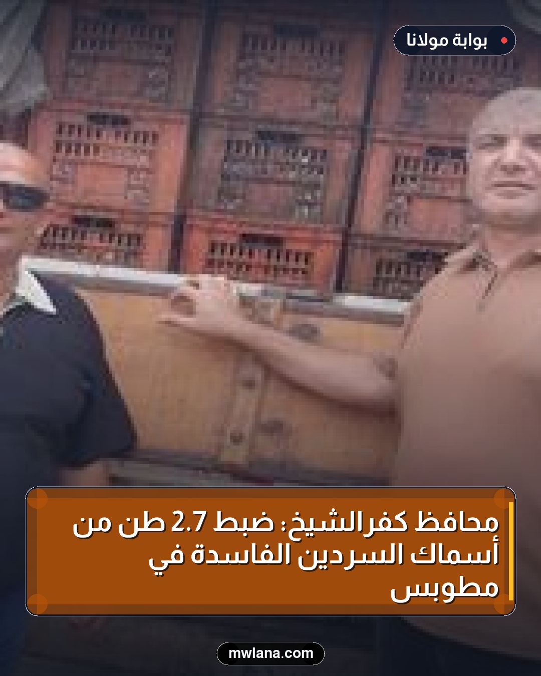 محافظ كفرالشيخ: ضبط 7.2 طن من أسماك السردين الفاسدة في مطوبس