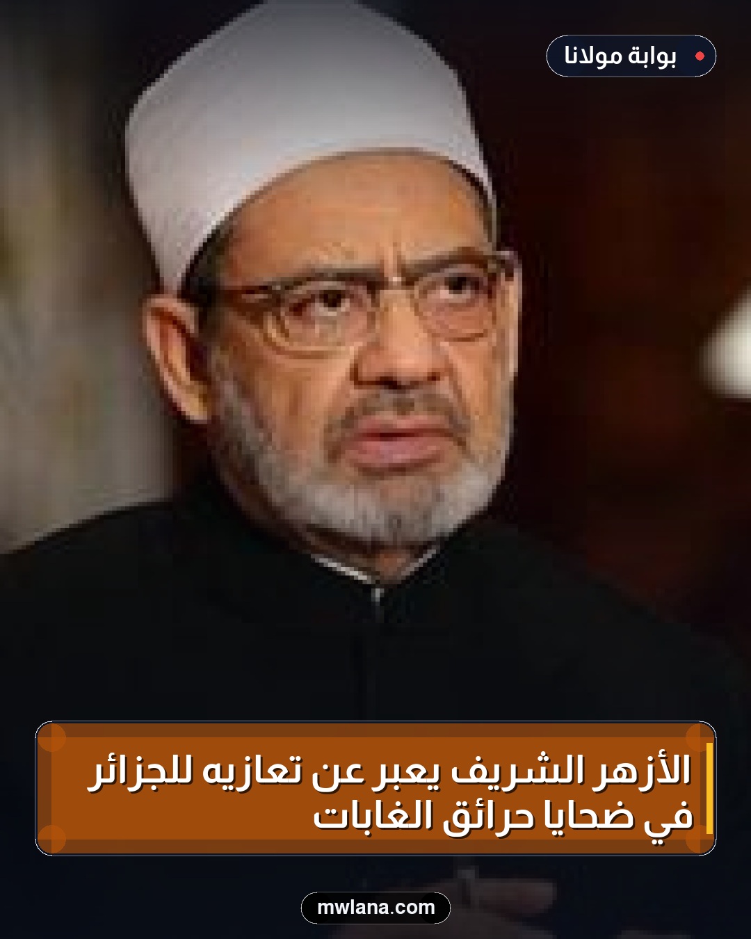 الأزهر الشريف يعبر عن تعازيه للجزائر في ضحايا حرائق الغابات