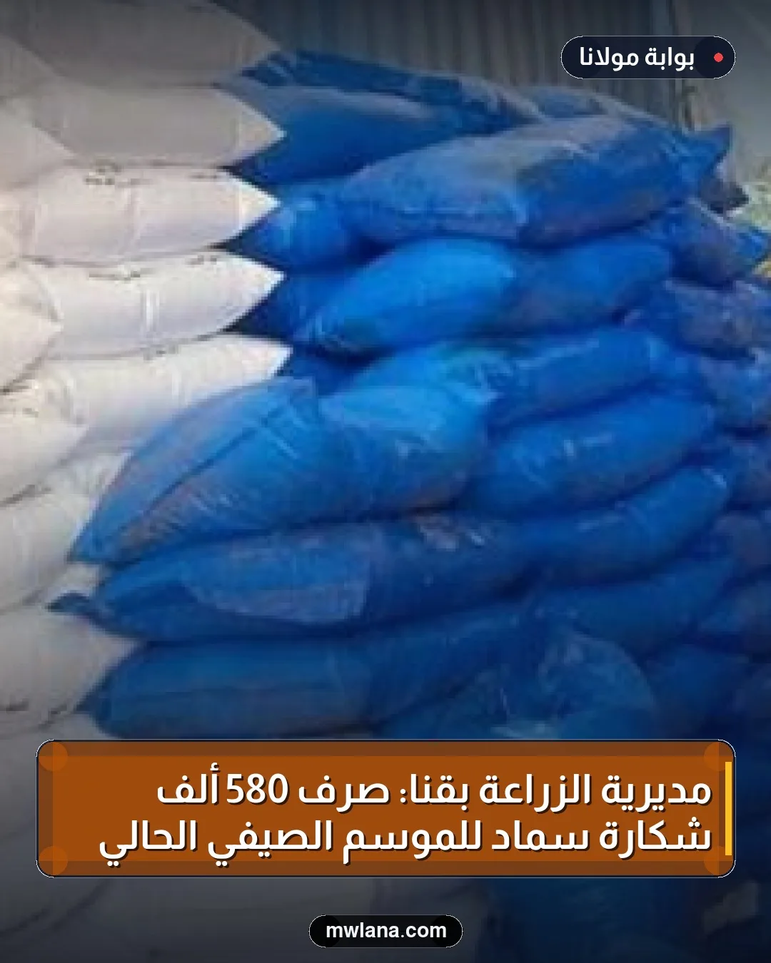 مديرية الزراعة بقنا: صرف 580 ألف شكارة سماد للموسم الصيفي الحالي