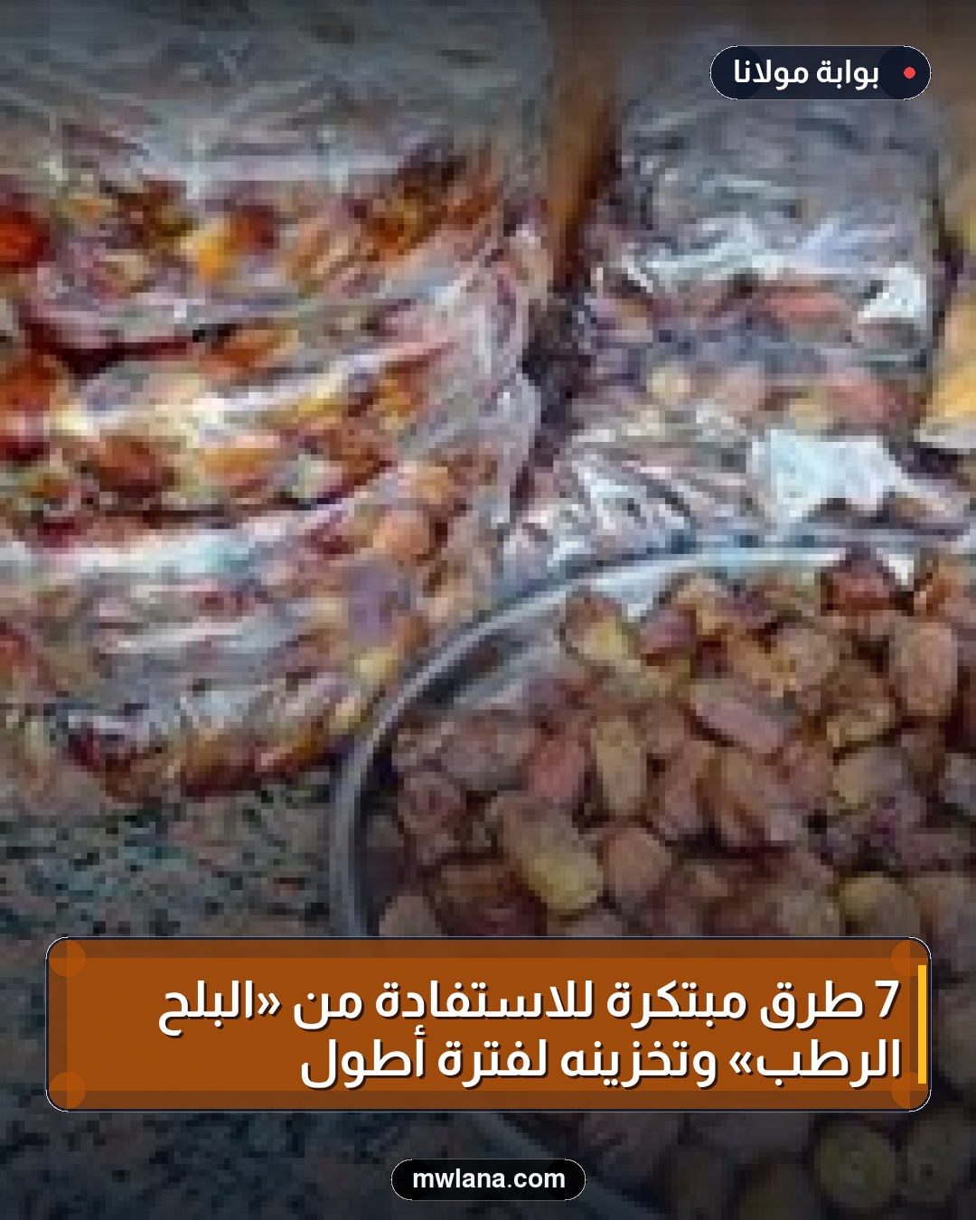 7 طرق مبتكرة للاستفادة من «البلح الرطب» وتخزينه لفترة أطول
