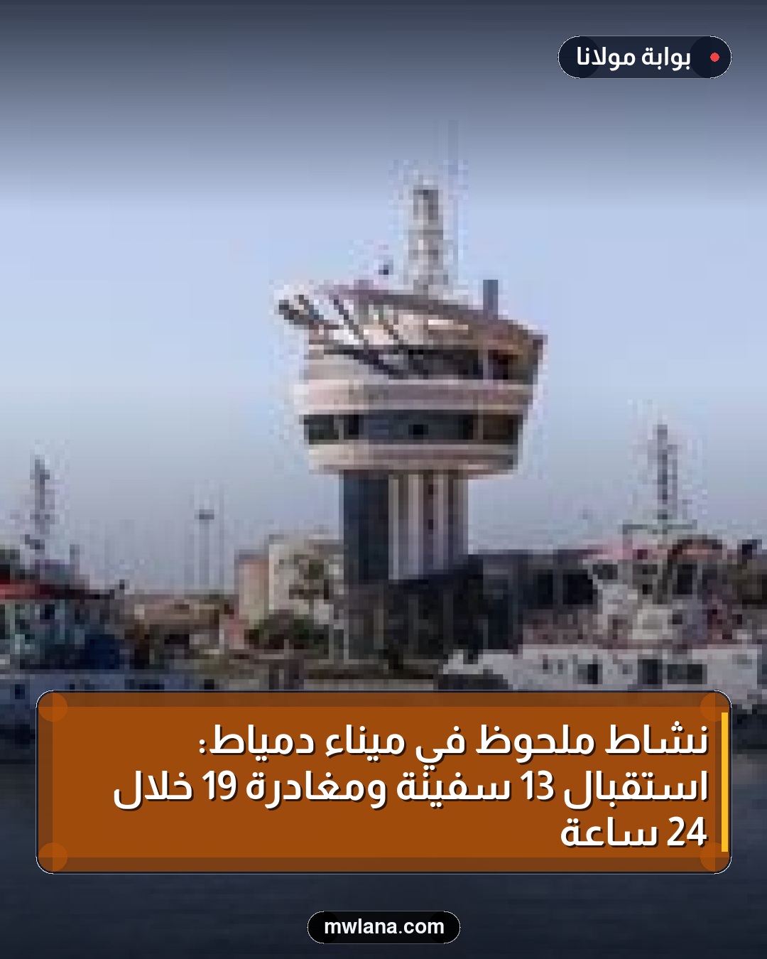 نشاط ملحوظ في ميناء دمياط: استقبال 13 سفينة ومغادرة 19 خلال 24 ساعة