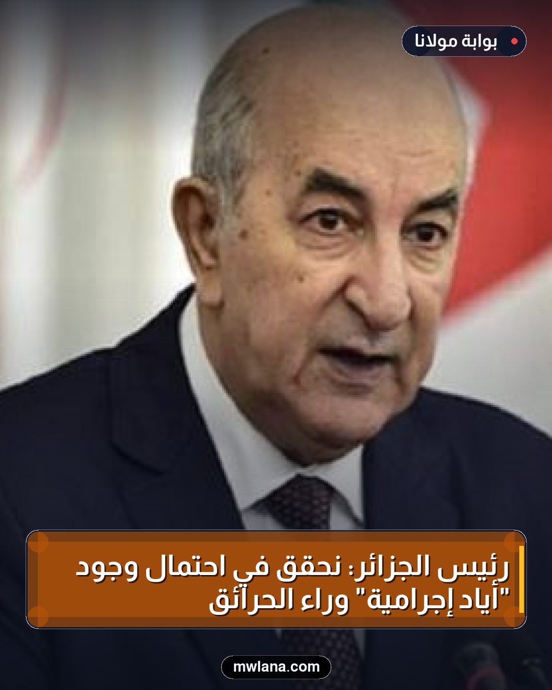 رئيس الجزائر: نحقق في احتمال وجود "أياد إجرامية" وراء الحرائق