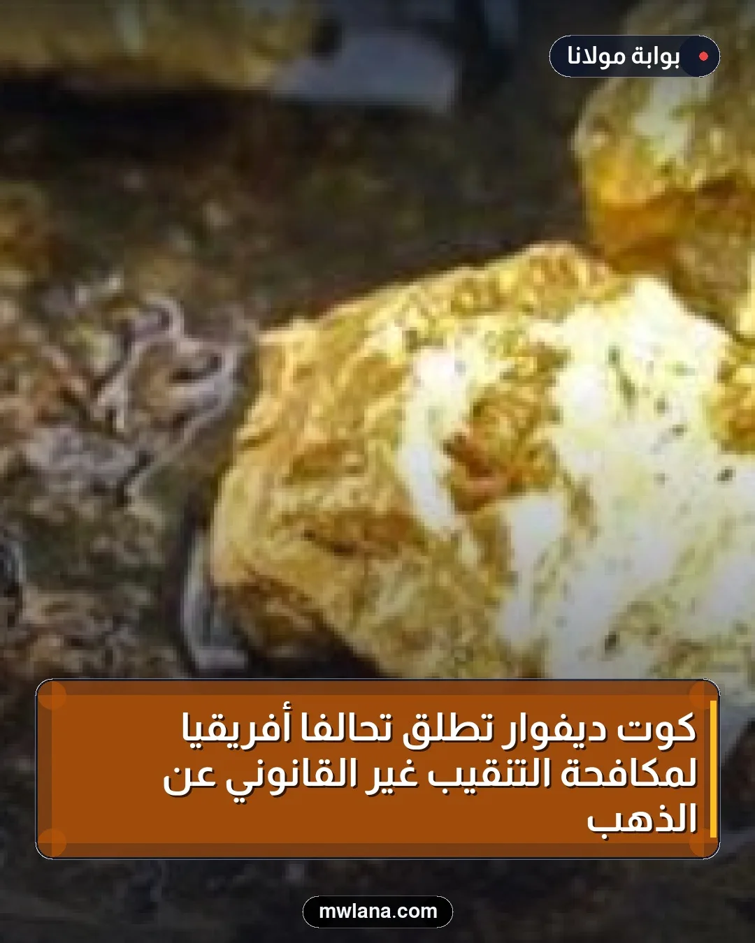 كوت ديفوار تطلق تحالفًا أفريقيًا لمكافحة التنقيب غير القانوني عن الذهب