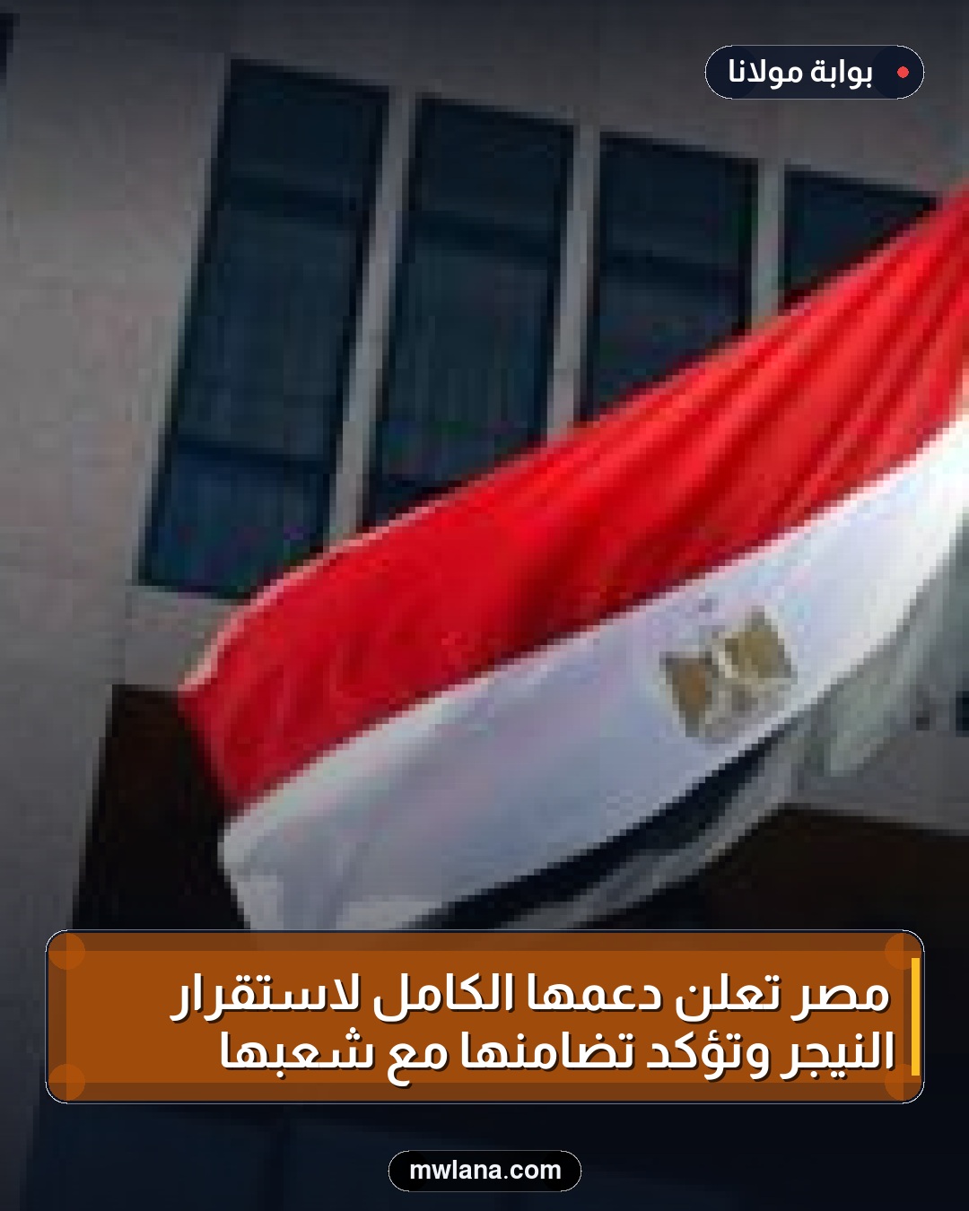 مصر تعلن دعمها الكامل لاستقرار النيجر وتؤكد تضامنها مع شعبها