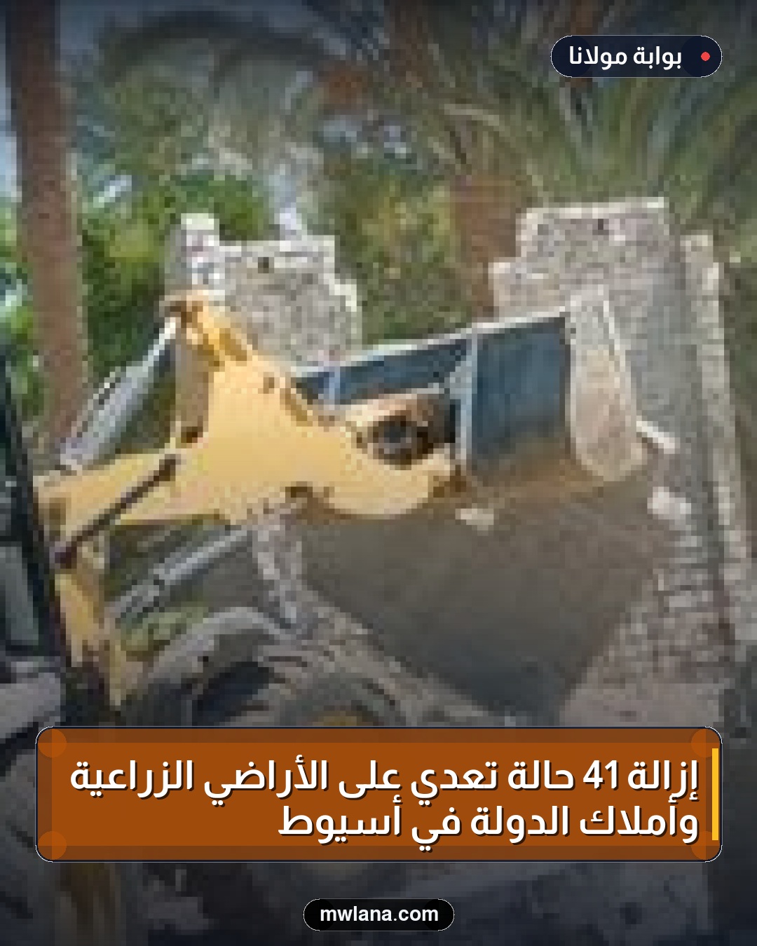 إزالة 41 حالة تعدي على الأراضي الزراعية وأملاك الدولة في أسيوط