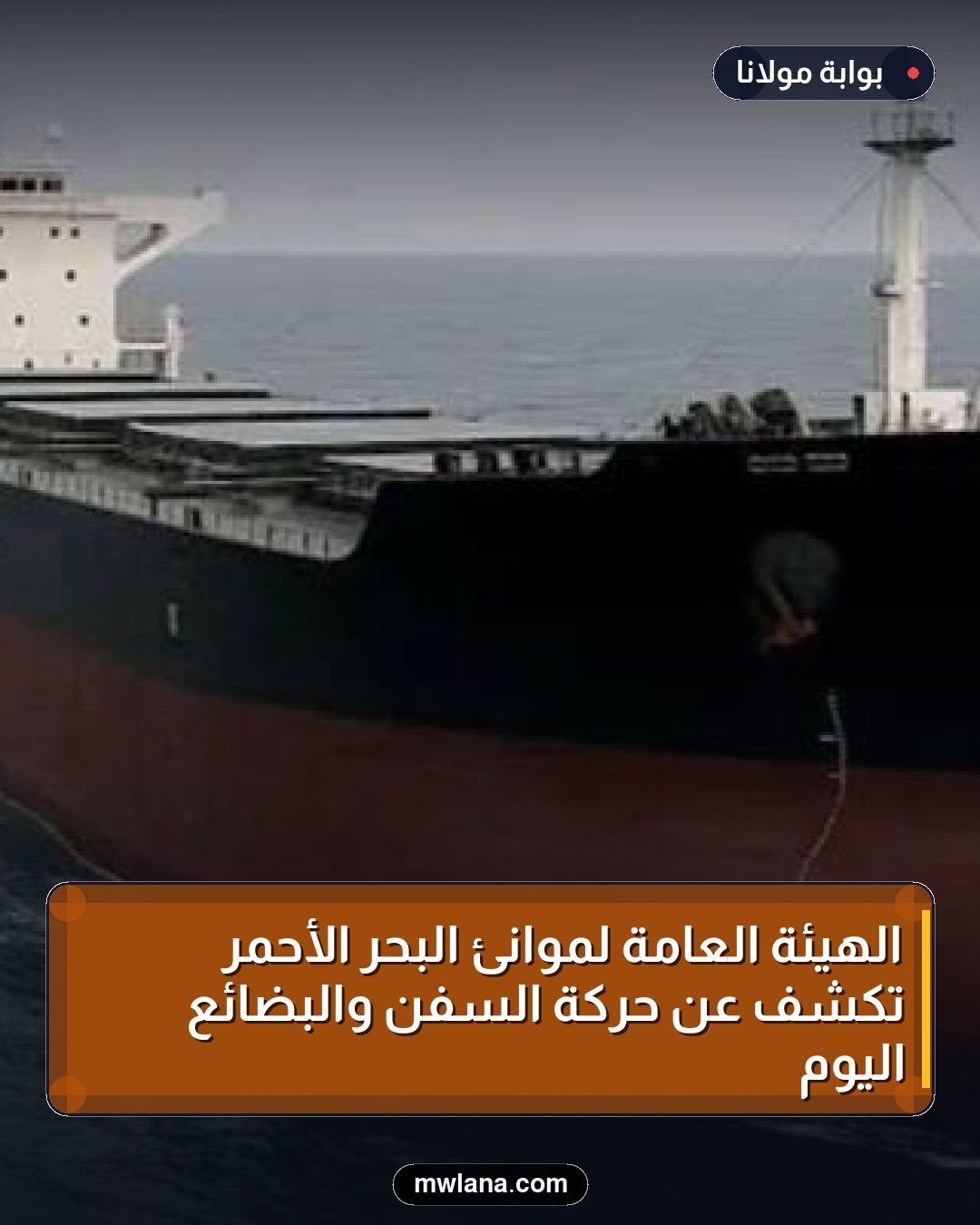 الهيئة العامة لموانئ البحر الأحمر تكشف عن حركة السفن والبضائع اليوم
