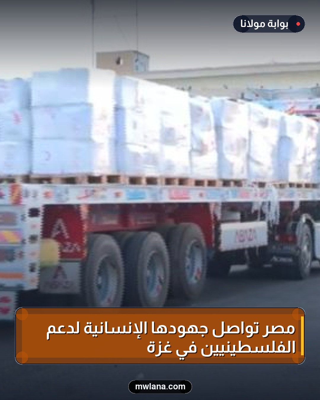 مصر تواصل جهودها الإنسانية لدعم الفلسطينيين في غزة