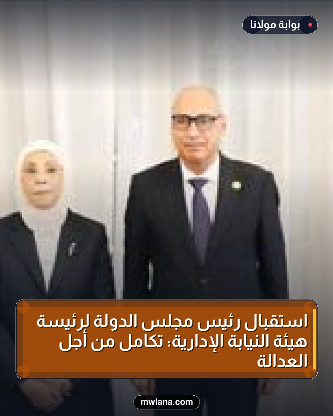 استقبال رئيس مجلس الدولة لرئيسة هيئة النيابة الإدارية: تكامل من أجل العدالة