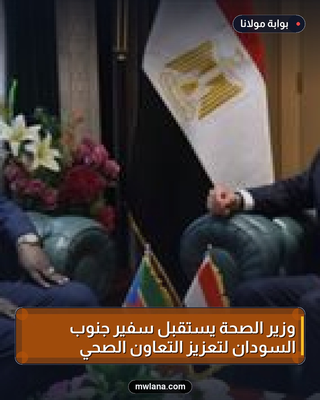 وزير الصحة يستقبل سفير جنوب السودان لتعزيز التعاون الصحي