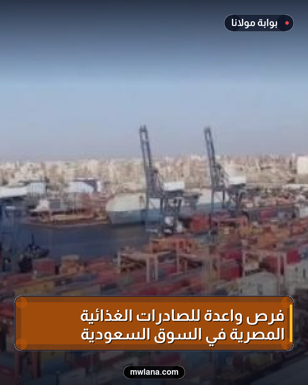 فرص واعدة للصادرات الغذائية المصرية في السوق السعودية