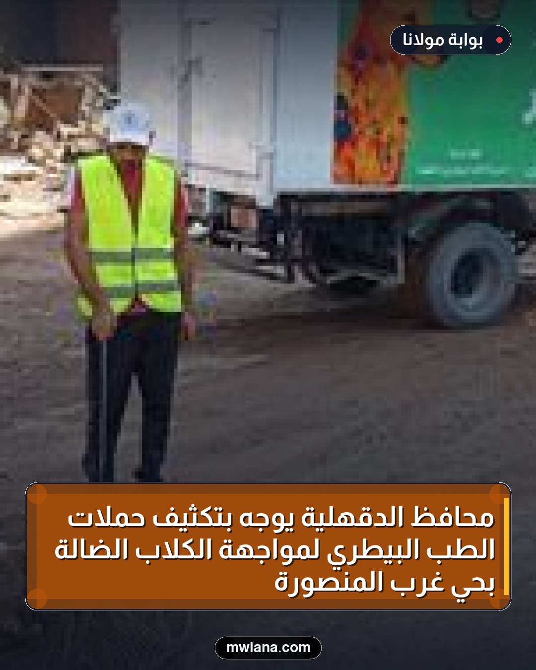 محافظ الدقهلية يوجه بتكثيف حملات الطب البيطري لمواجهة الكلاب الضالة بحي غرب المنصورة