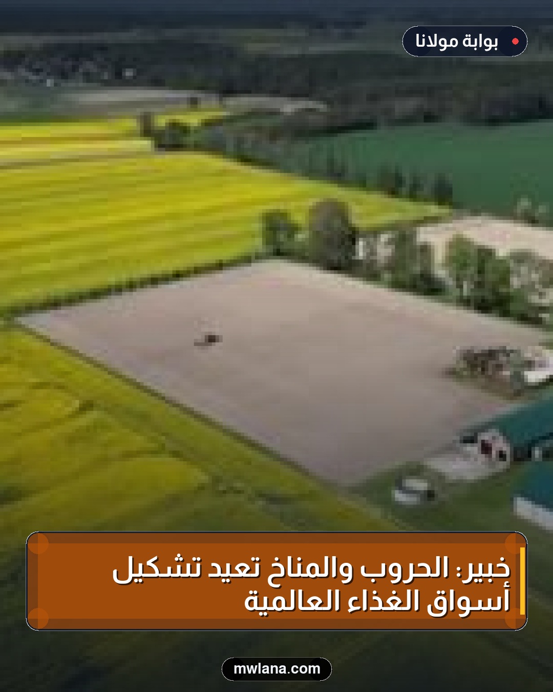 خبير: الحروب والمناخ تعيد تشكيل أسواق الغذاء العالمية