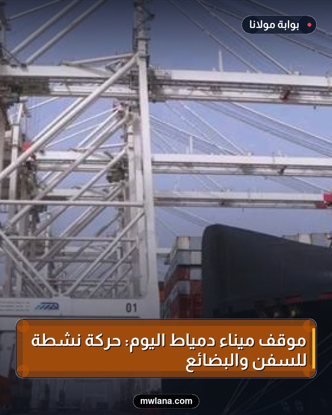 موقف ميناء دمياط اليوم: حركة نشطة للسفن والبضائع