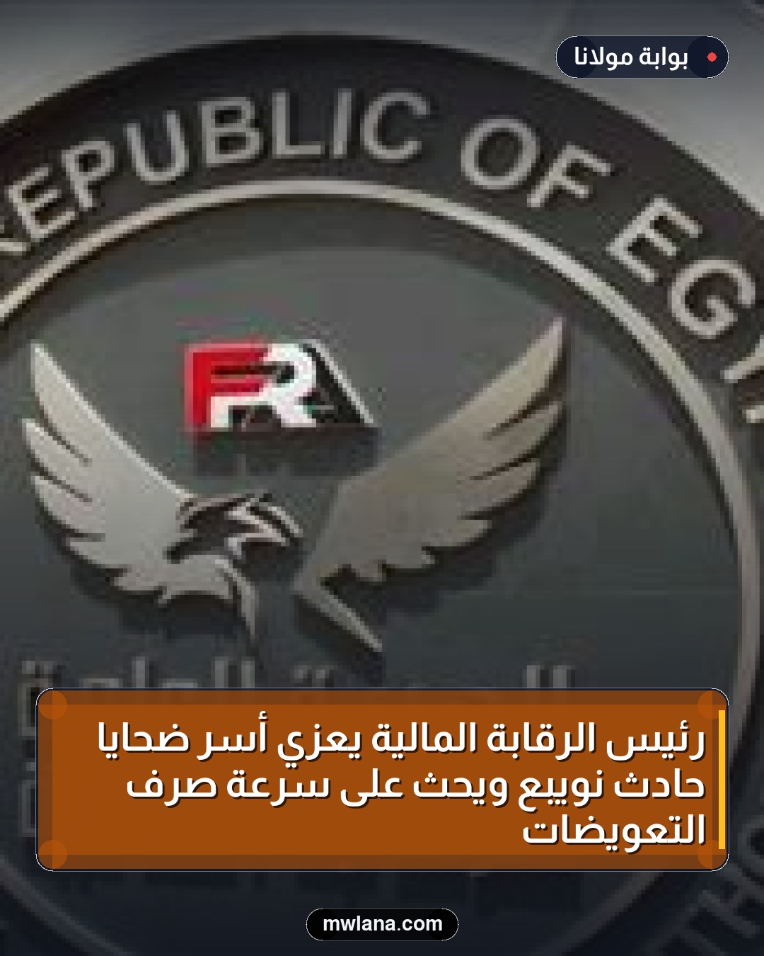 رئيس الرقابة المالية يعزي أسر ضحايا حادث نويبع ويحث على سرعة صرف التعويضات