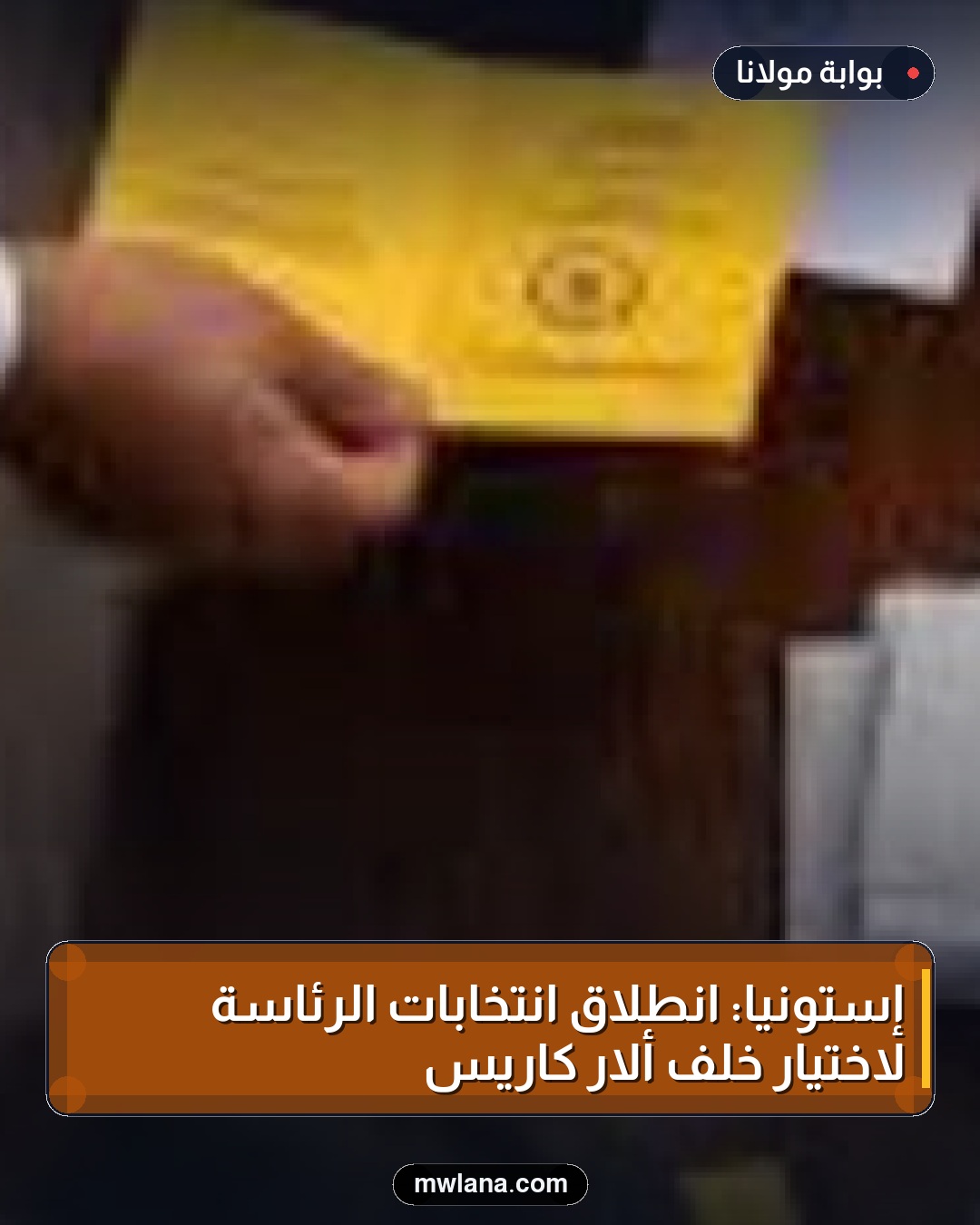إستونيا: انطلاق انتخابات الرئاسة لاختيار خلف ألار كاريس