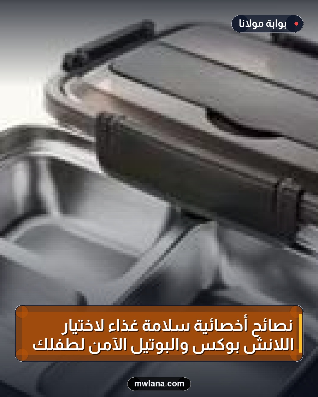 نصائح أخصائية سلامة غذاء لاختيار اللانش بوكس والبوتيل الآمن لطفلك