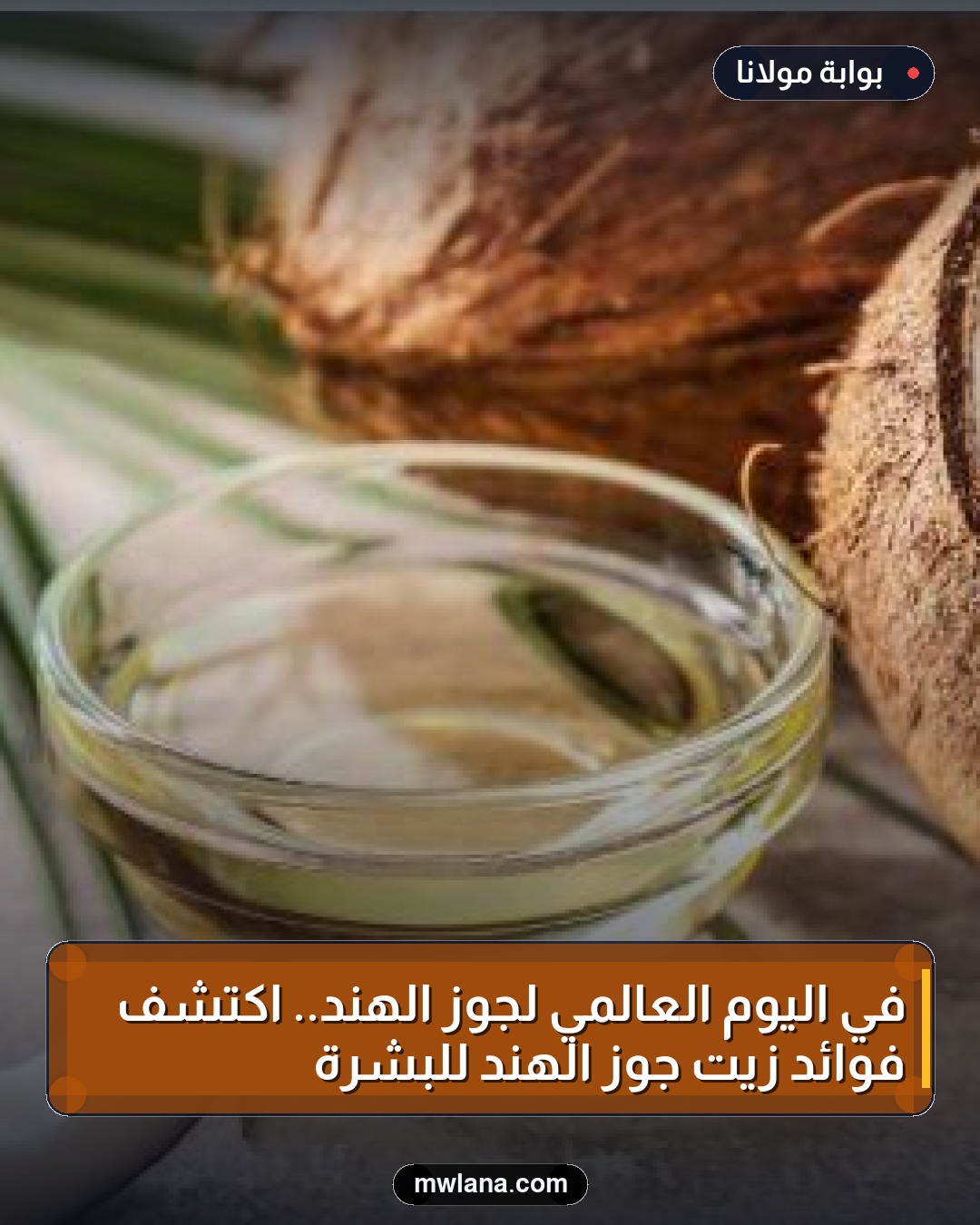 في اليوم العالمي لجوز الهند.. اكتشف فوائد زيت جوز الهند للبشرة