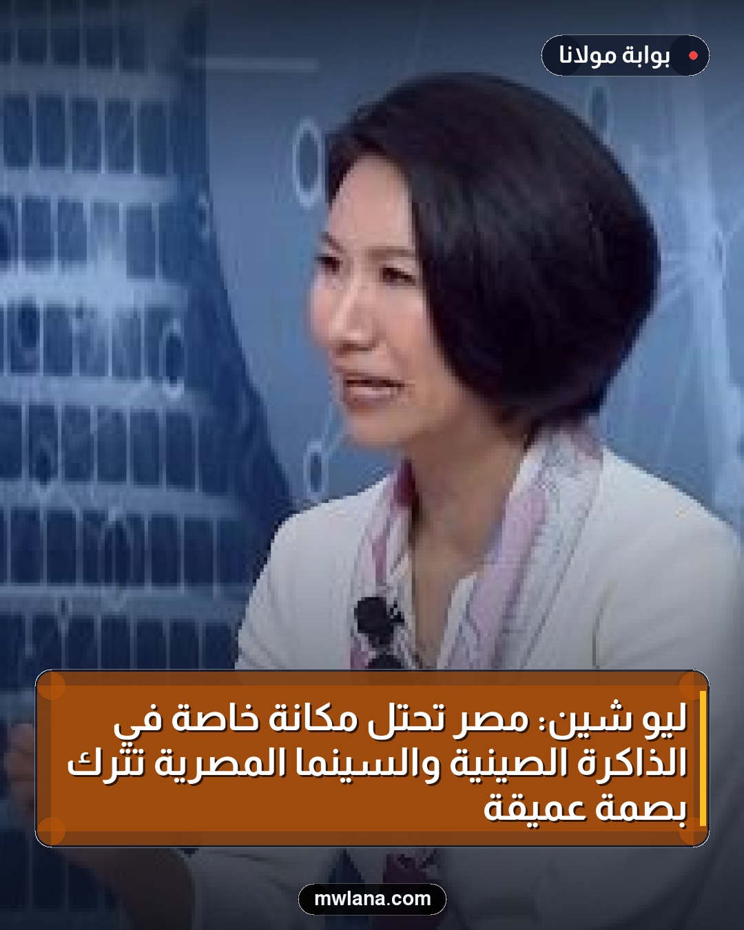 ليو شين: مصر تحتل مكانة خاصة في الذاكرة الصينية والسينما المصرية تترك بصمة عميقة