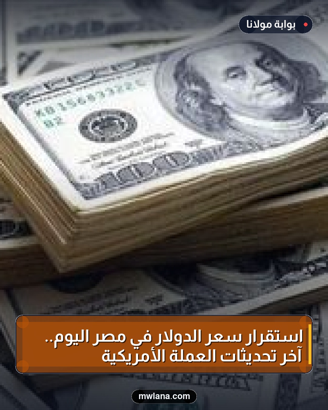 استقرار سعر الدولار في مصر اليوم.. آخر تحديثات العملة الأمريكية