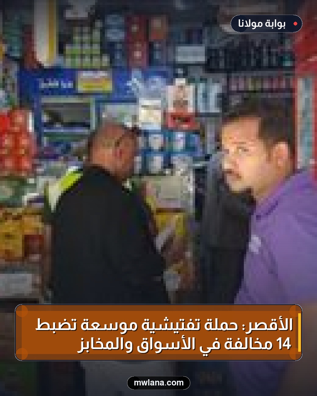 الأقصر: حملة تفتيشية موسعة تضبط 14 مخالفة في الأسواق والمخابز