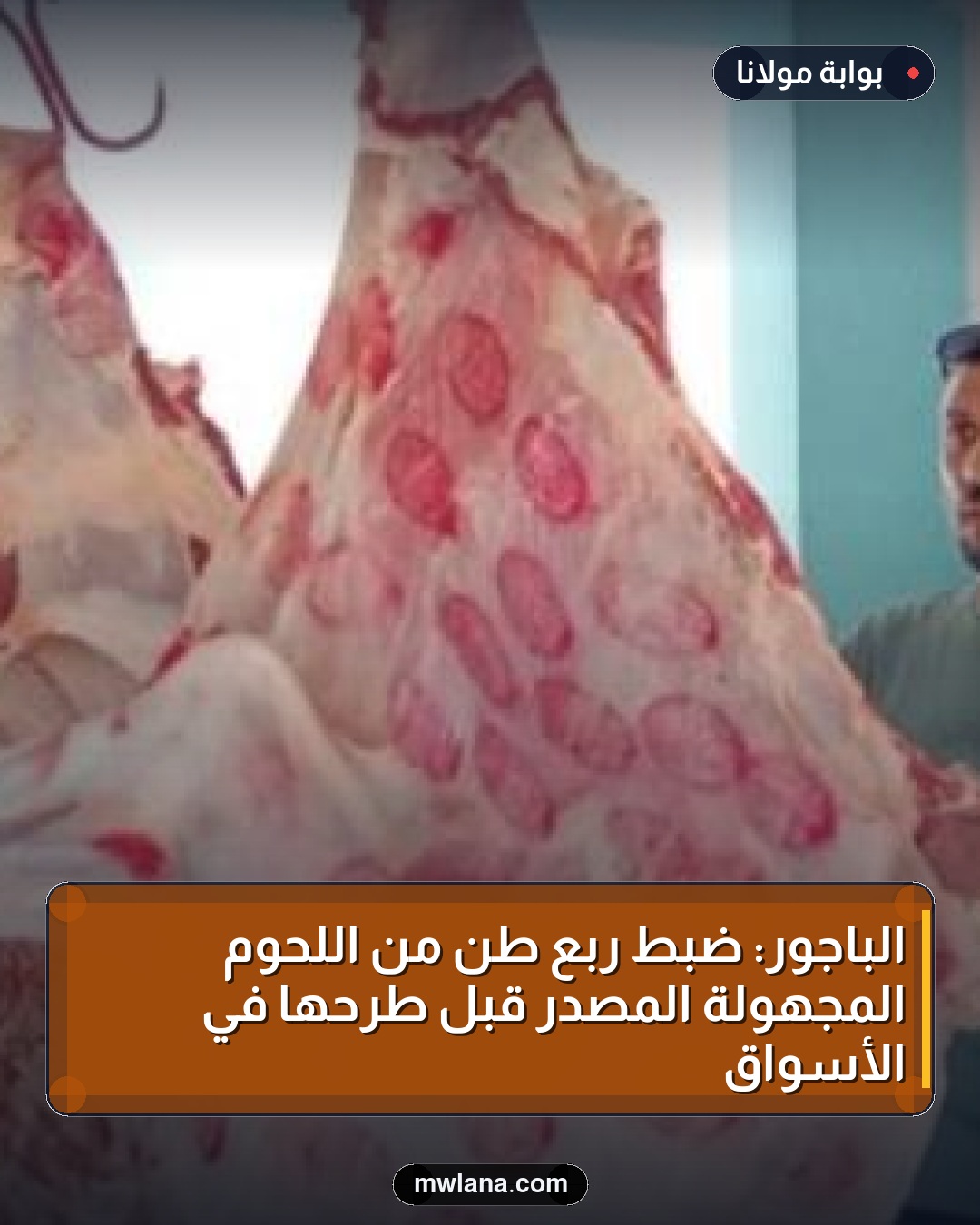 الباجور: ضبط ربع طن من اللحوم المجهولة المصدر قبل طرحها في الأسواق
