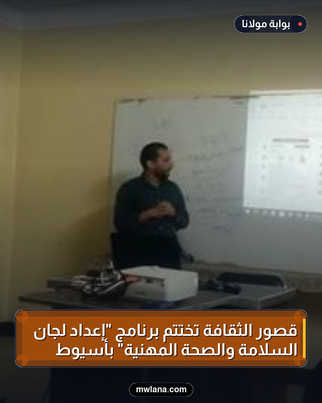قصور الثقافة تختتم برنامج "إعداد لجان السلامة والصحة المهنية" بأسيوط