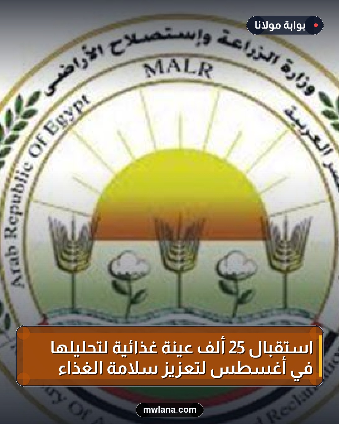 استقبال 25 ألف عينة غذائية لتحليلها في أغسطس لتعزيز سلامة الغذاء