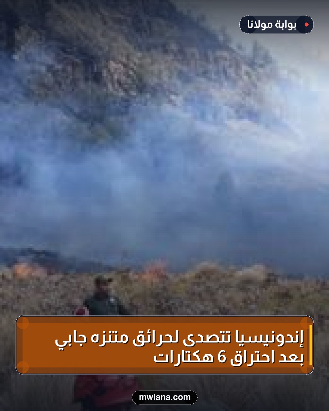 إندونيسيا تتصدى لحرائق متنزه جابي بعد احتراق 6 هكتارات