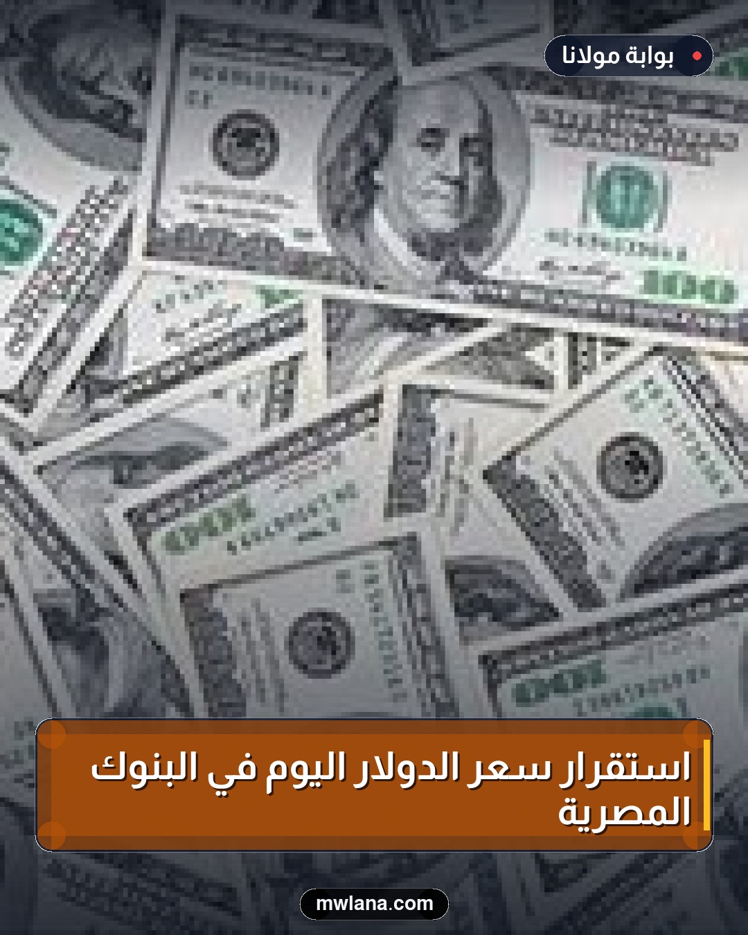 استقرار سعر الدولار اليوم في البنوك المصرية
