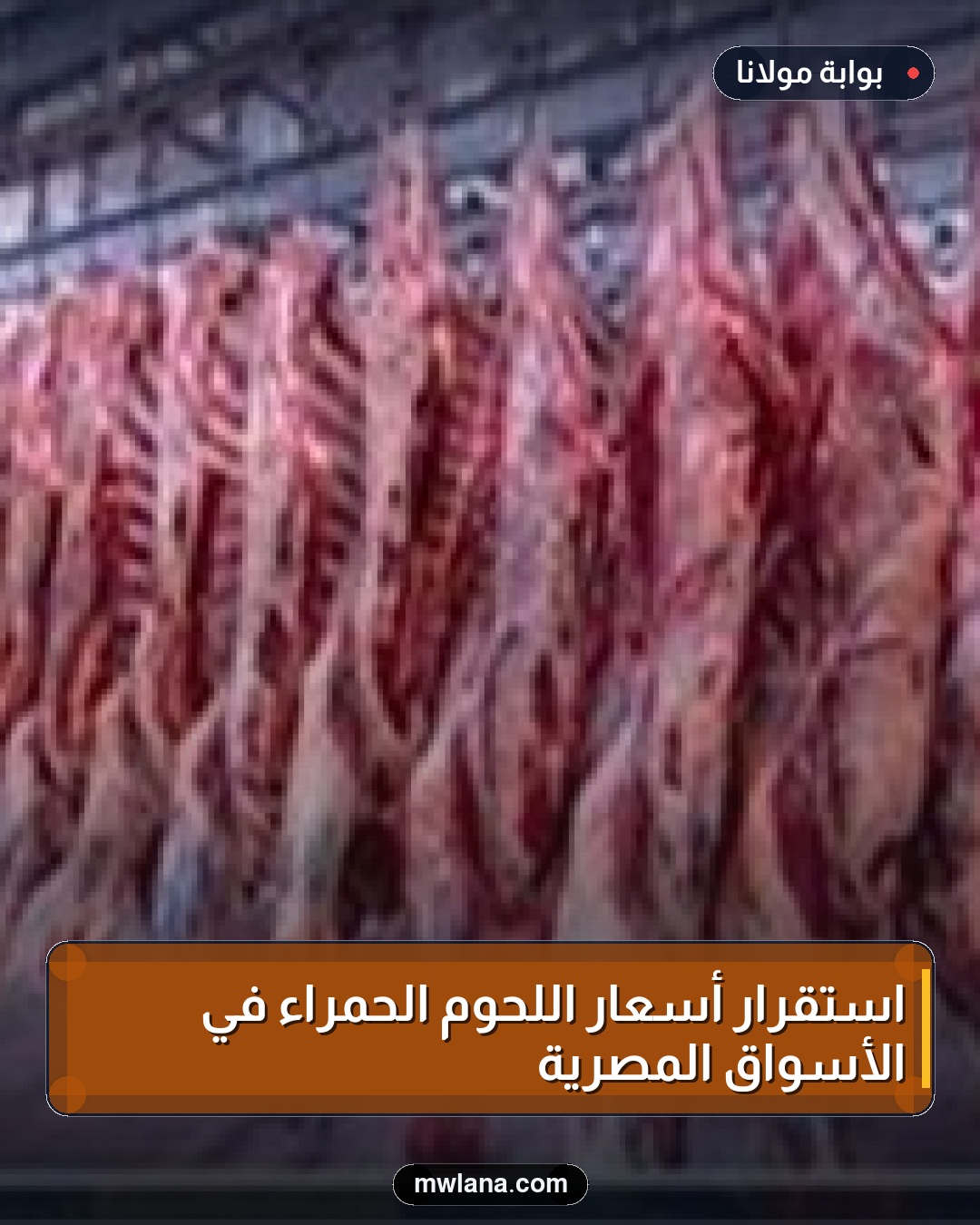 استقرار أسعار اللحوم الحمراء في الأسواق المصرية