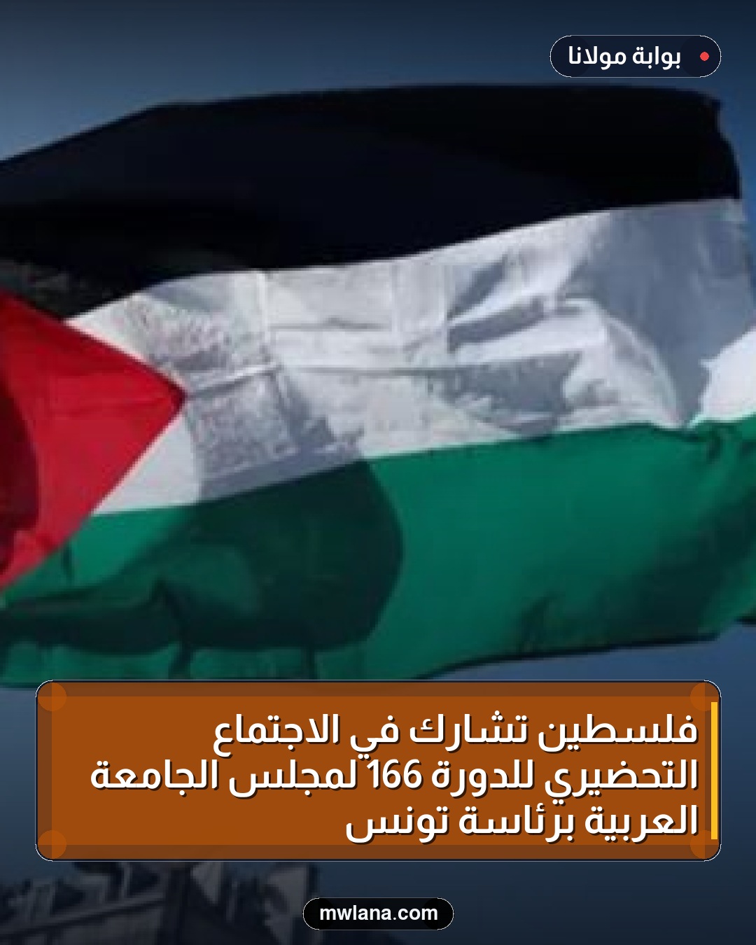 فلسطين تشارك في الاجتماع التحضيري للدورة 166 لمجلس الجامعة العربية برئاسة تونس