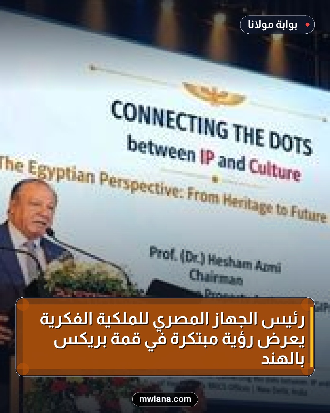 رئيس الجهاز المصري للملكية الفكرية يعرض رؤية مبتكرة في قمة بريكس بالهند