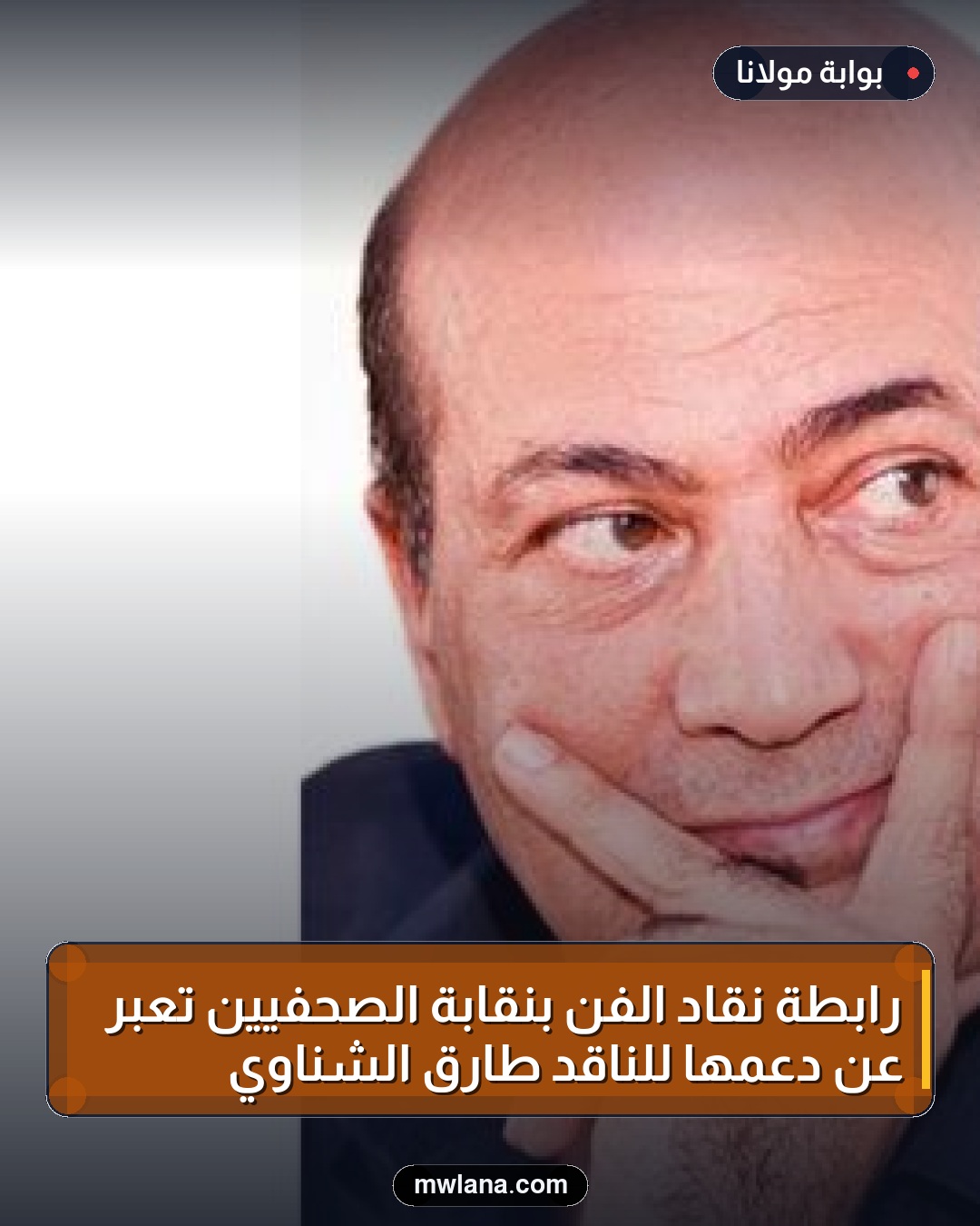 رابطة نقاد الفن بنقابة الصحفيين تعبر عن دعمها للناقد طارق الشناوي