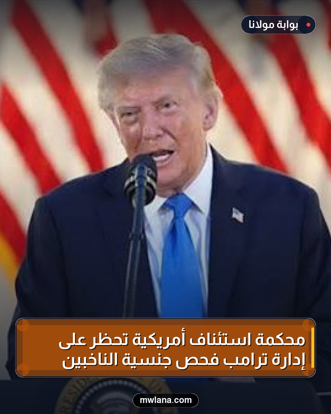محكمة استئناف أمريكية تحظر على إدارة ترامب فحص جنسية الناخبين