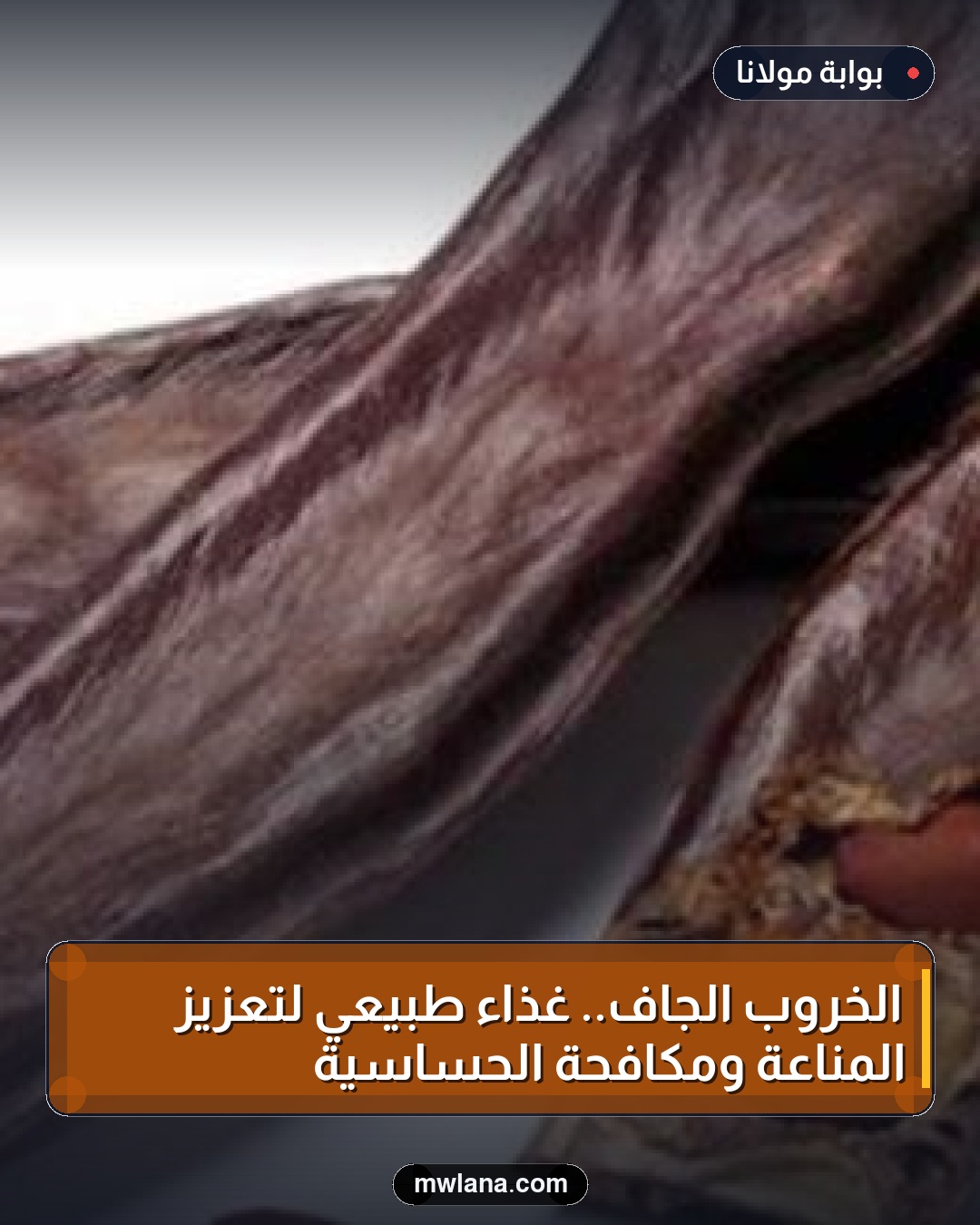 الخروب الجاف.. غذاء طبيعي لتعزيز المناعة ومكافحة الحساسية