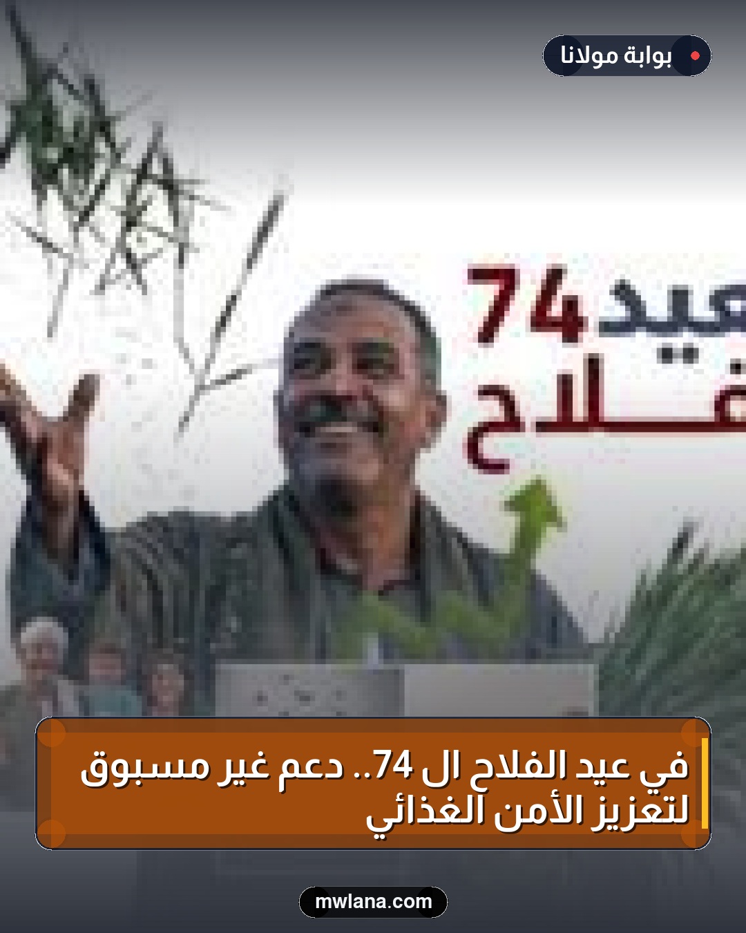 في عيد الفلاح الـ 74.. دعم غير مسبوق لتعزيز الأمن الغذائي