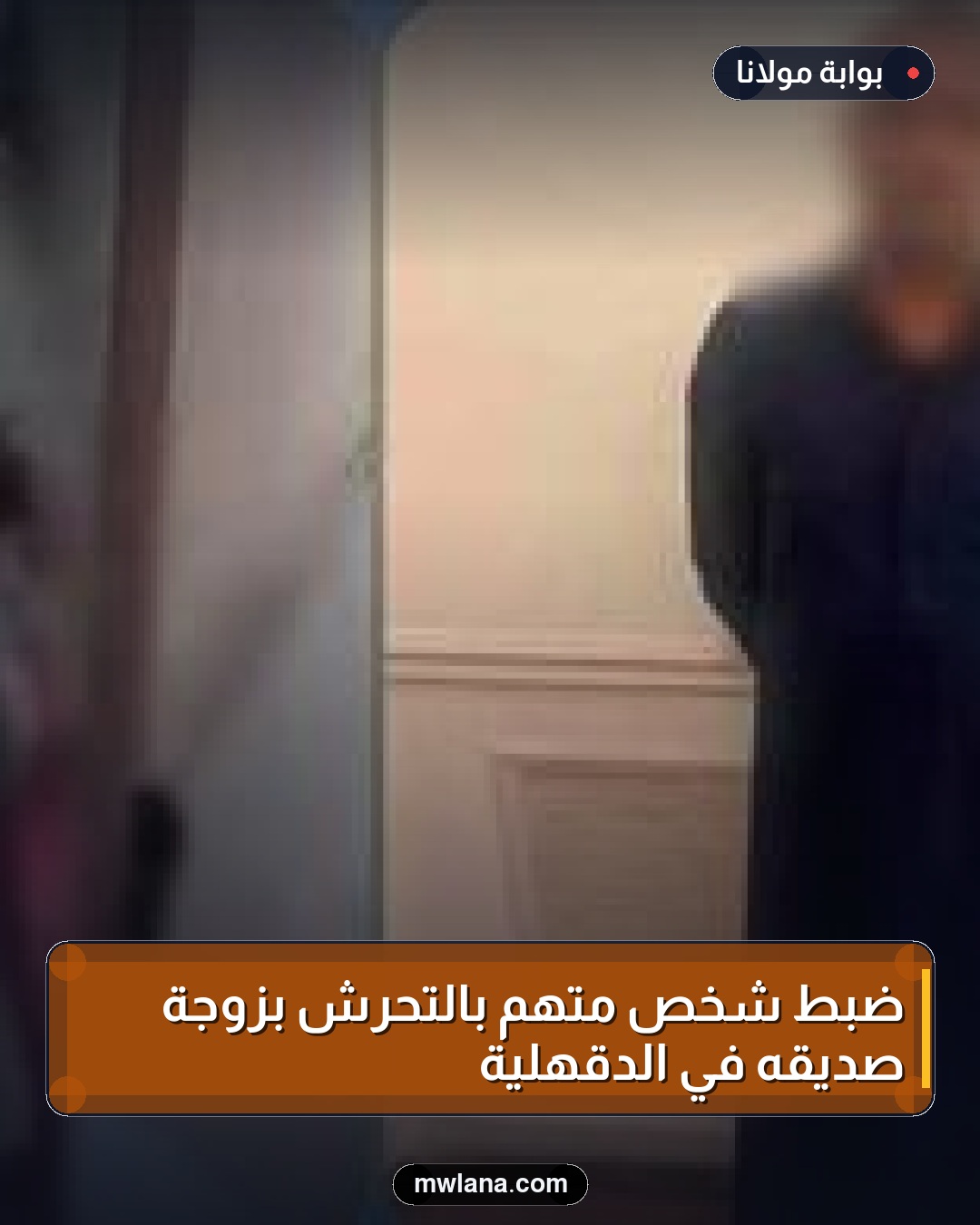 ضبط شخص متهم بالتحرش بزوجة صديقه في الدقهلية