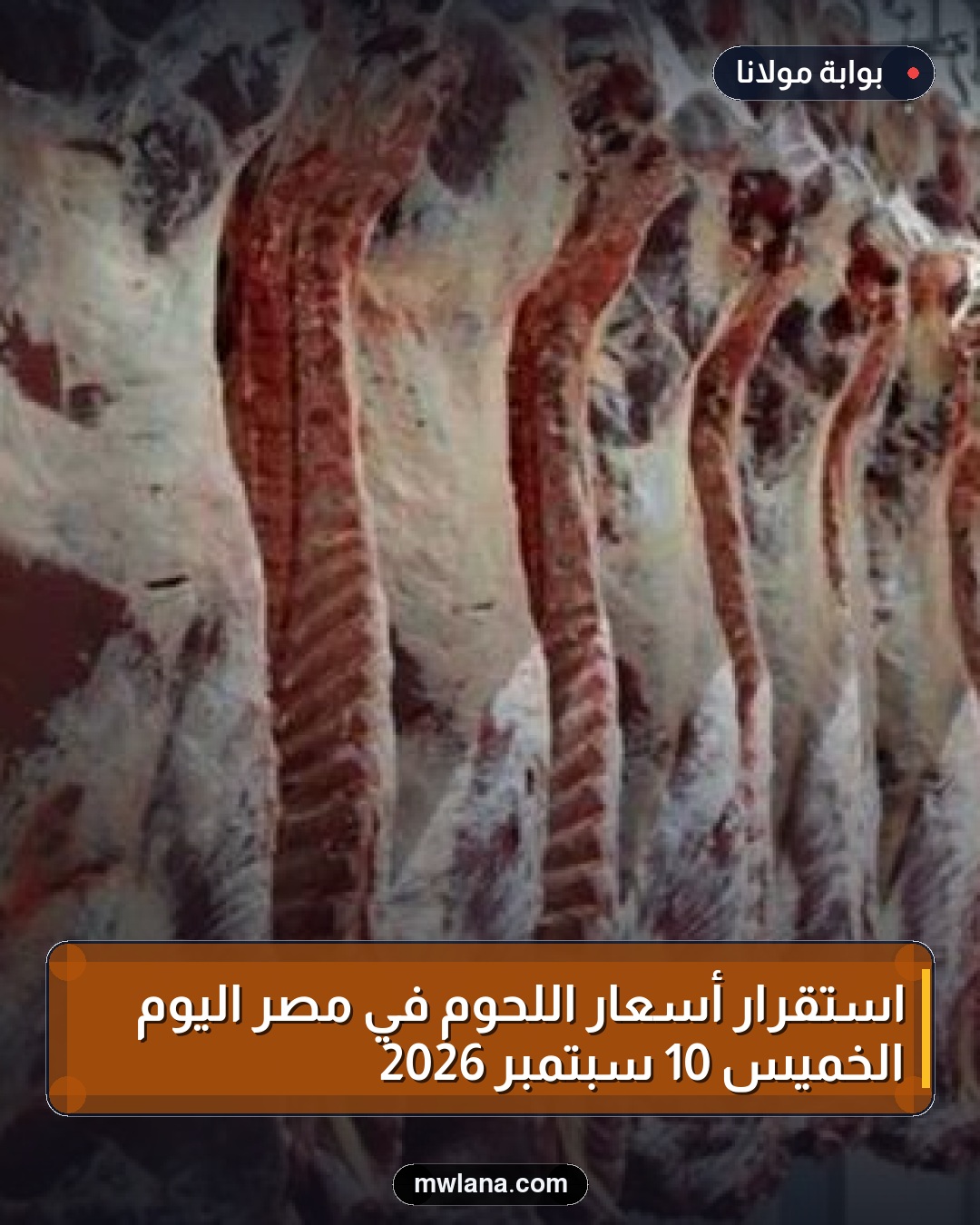 استقرار أسعار اللحوم في مصر اليوم الخميس 10 سبتمبر 2026