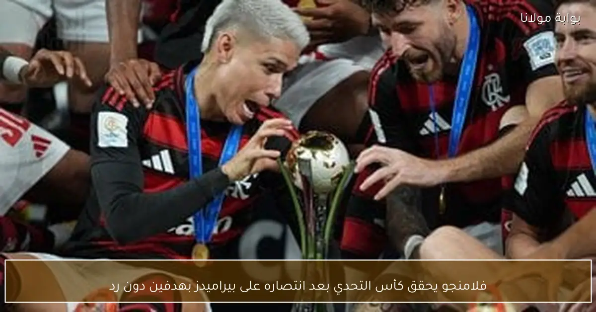 فلامنجو يحقق كأس التحدي بعد انتصاره على بيراميدز بهدفين دون رد